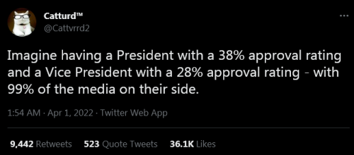 catturd biden approval