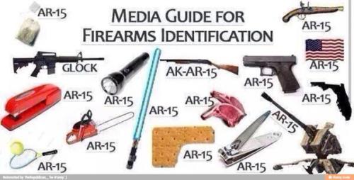 guide to guns