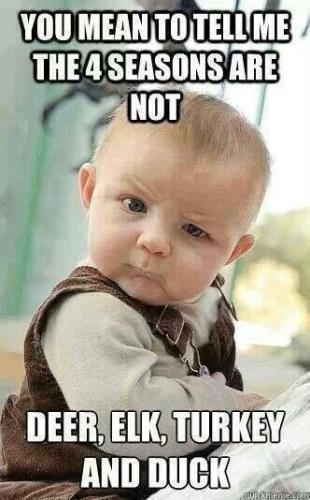 1e2e9958cb23ff969826728a795cbef8--hunting-baby-elk-hunting