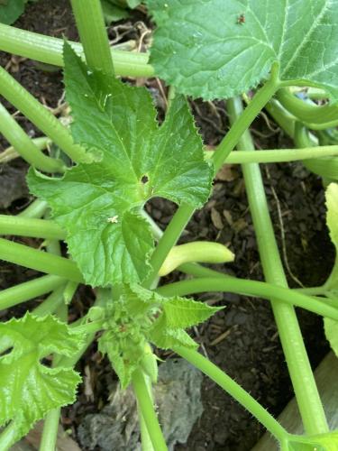 0AE27904-EB8A-4CD5-84CF-CBF8B6734692