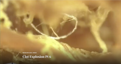 Screen Shot 2022-06-20 at 4.18.04 PM