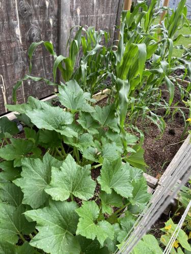 A6A09DB9-E628-4A55-B22E-16B358E36F0F