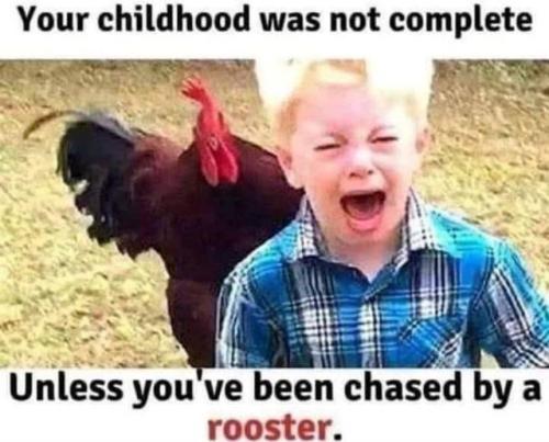 FC663E57-87F7-473F-B2D5-DD0E0219ABBD