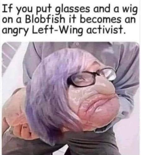 dc87e4b0-cb02-4498-8911-1abba7530670