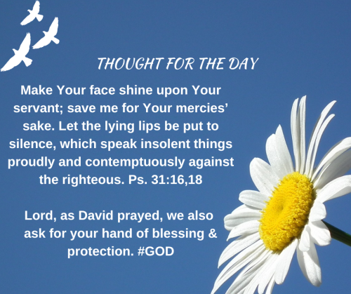 TWEET 6-13-22