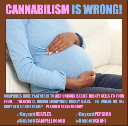 OyLBqn1C4PkmFLKlrRiT_13_30cba9b905bd8f79c107e74a22a368b1_image_original (1)