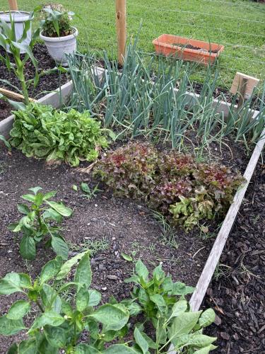 F7E0D03D-A7A3-4A75-93C0-BB5AAF5006D9