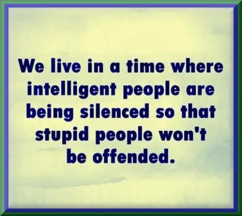 silence the stupid