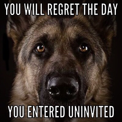 5A9A2CC7-AD0B-402F-B0F3-E3FDBCD5EA4A