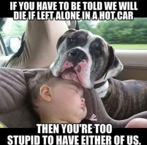 if you have to be told