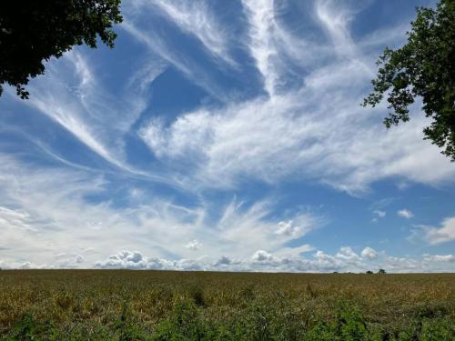 photo_2022-06-24_13-04-35 sky