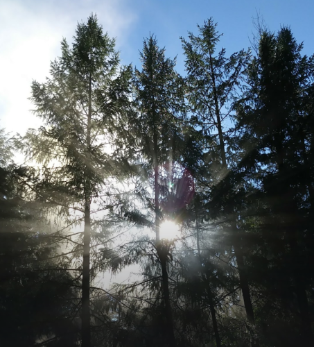 Screenshot_20211026-084258(1)