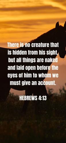 F3BC4DFF-A1E6-4869-9D7F-58A4CFEEDC8B