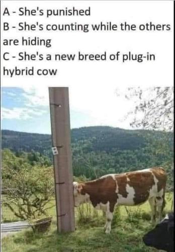 FB_IMG_1655417918479