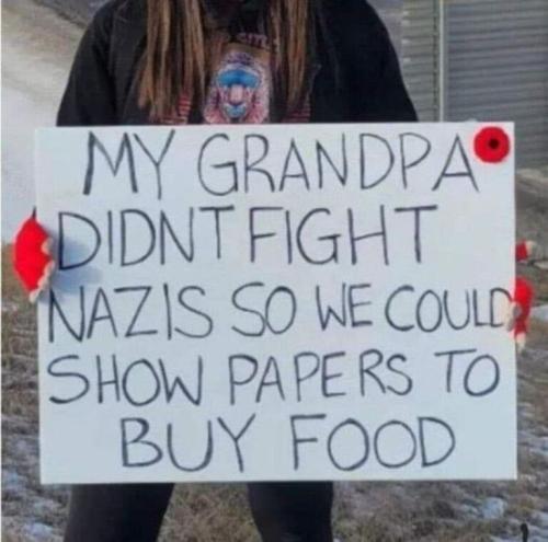 548a5b7d77090d6b0fc24e7e9668a10a_500x0