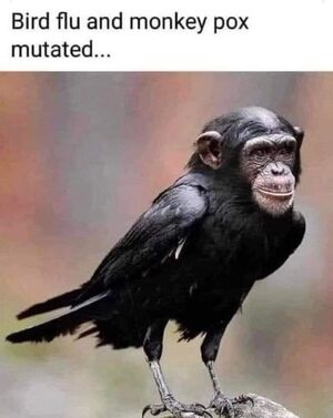 FUksY2aWUAAXeos