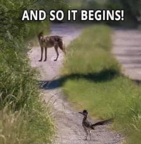ItBegins