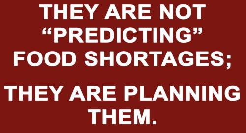 M food shortages