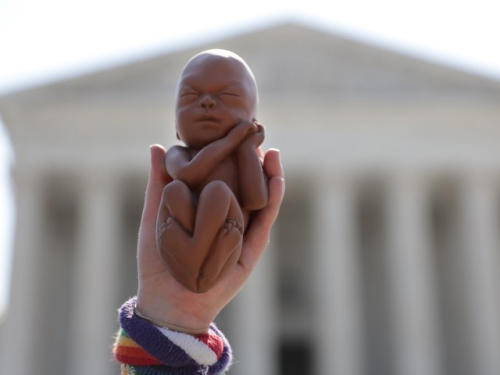 baby in the hand