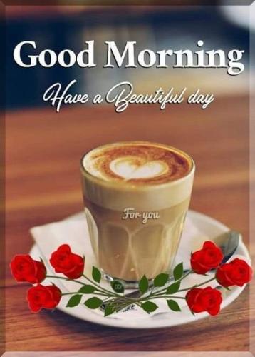 FB_IMG_1655156207346