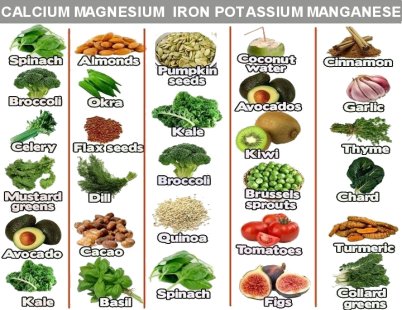 14683703-8437-4DC2-9C0C-2533212A09F3