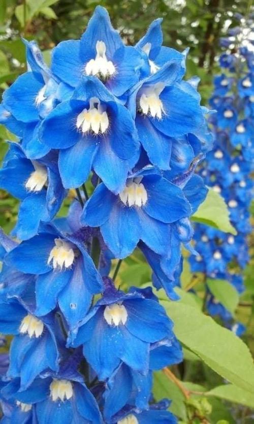 430F1A28-7C1B-479B-8F48-00AB40265413