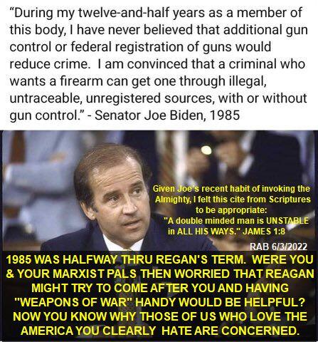BIDEN+GUN+CONTROL+WON'T+WORK