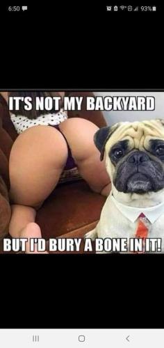 its not my backyard but