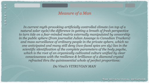 Screen Shot 2022-06-03 at 3.37.29 PM