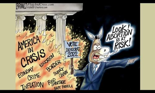Democrat false emergency