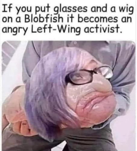 looksjustlikealibturdwaititisalibturd