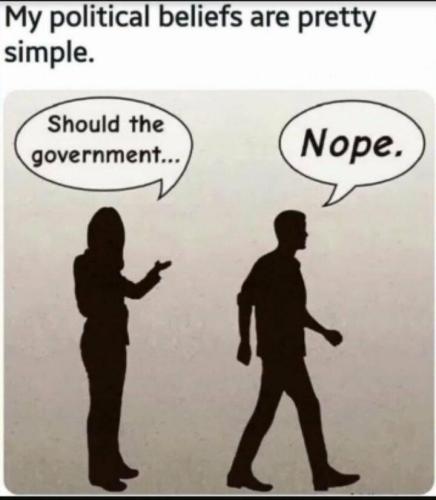 should the govt