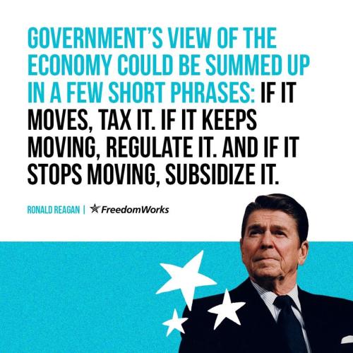 How Govt Works