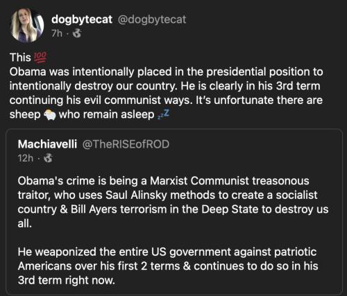 Obama bastard 21