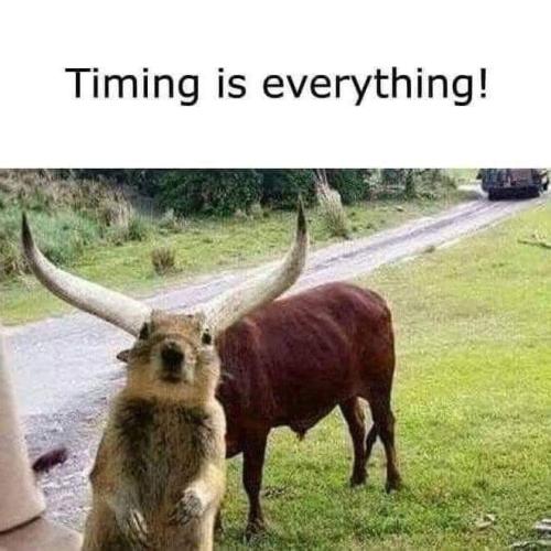 FB_IMG_1655027649799