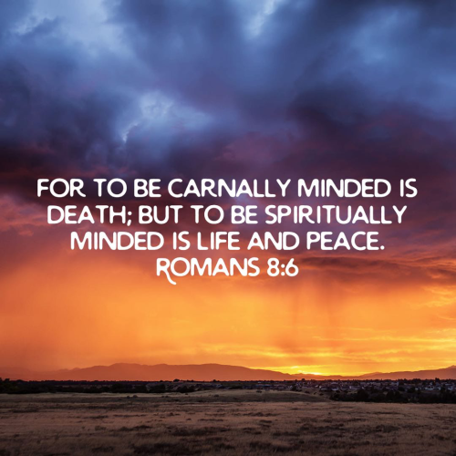 0D8DFFFB-E86B-4557-9D75-6D5ECF2380A4