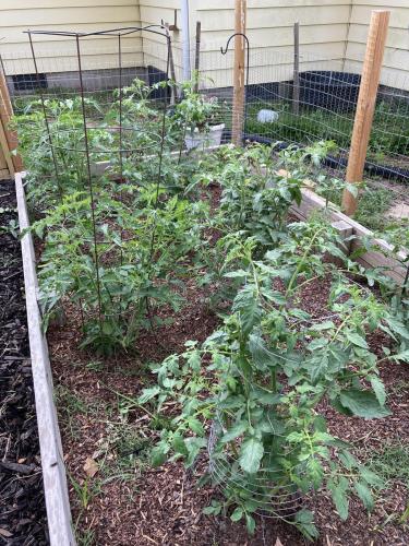 9B1B96C3-7F6E-4964-85ED-AC8B6BB5DD31