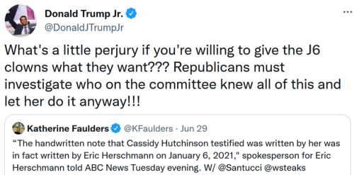 whats a little perjury