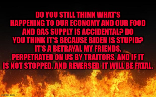 img - 2022-06-15T142432.931