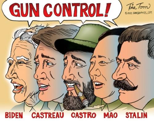 GUN CONTROL