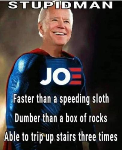 Dumber then a box of rocks