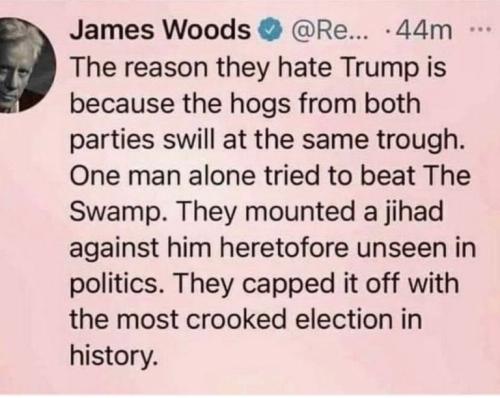 woods on trump