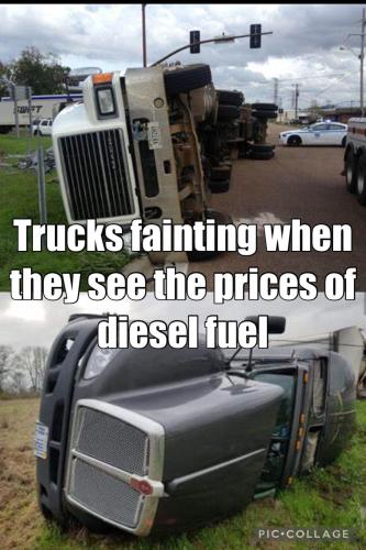 BB0F2D56-E5D8-4EBB-94AE-04BB180202E0