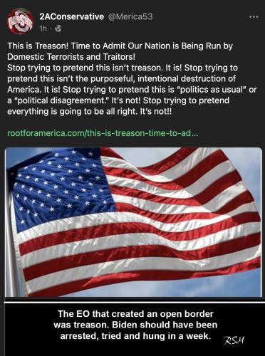 Biden treason