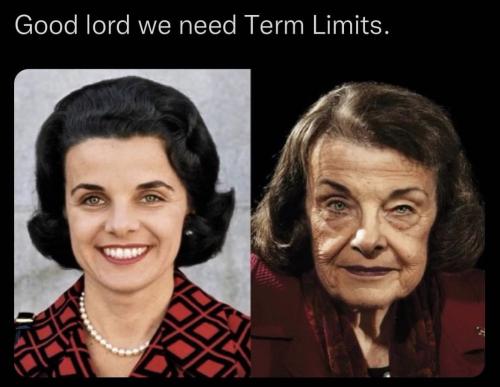 Term Limits