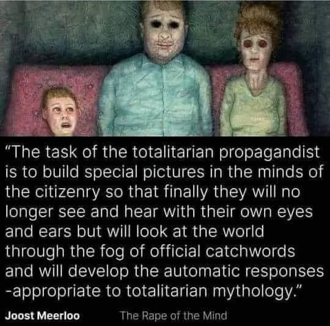 290252978_406074194817004_8826105201355972404_n