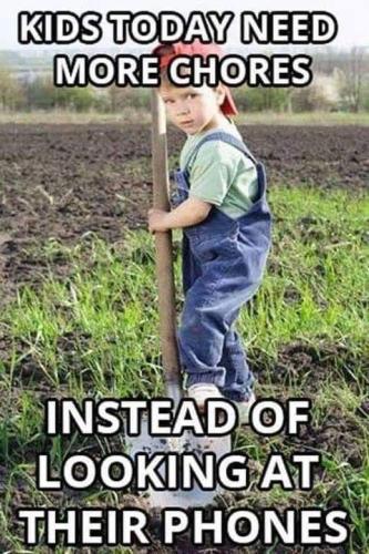 FB_IMG_1656124636647