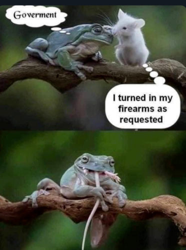 Capture+_2022-06-22-02-40-53(1)