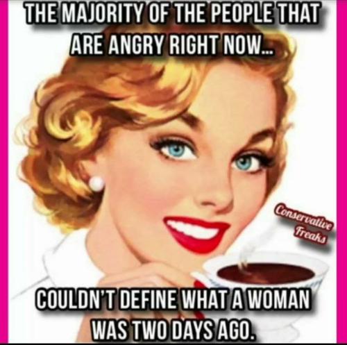libtardbrainwashedidiots