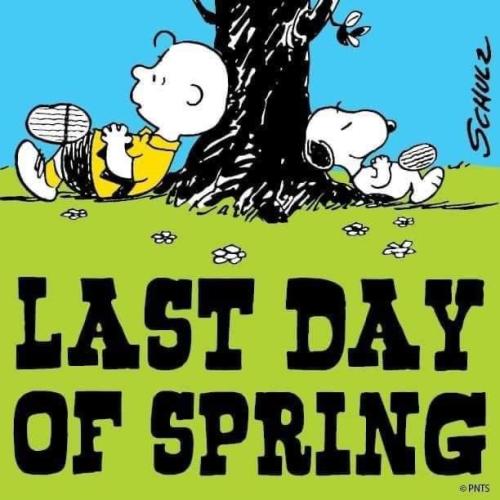 8D095992-655B-4A1E-8DB4-14D877BBDC2E